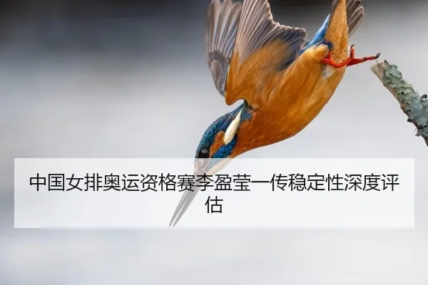 中国女排奥运资格赛李盈莹一传稳定性深度评估