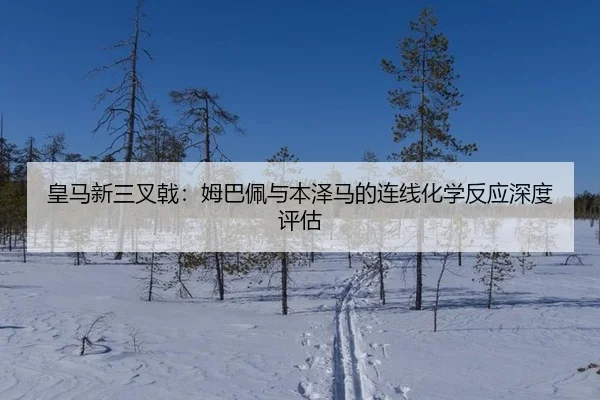 huang-ma-xin-san-cha-ji-mu-ba-pei-yu-ben-ze-ma-de-lian-xian-hua-xue-fan-ying-shen-du-ping-gu-3-933.jpg