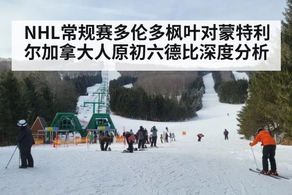 NHL常规赛多伦多枫叶对蒙特利尔加拿大人原初六德比深度分析